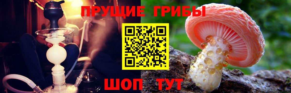 наркотики  Галлюциногенные грибы GOLDEN TEACHER  Вход с VPN  Кашира 